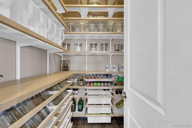 4423 Mcmurdo Court, Castle Rock, CO 80108