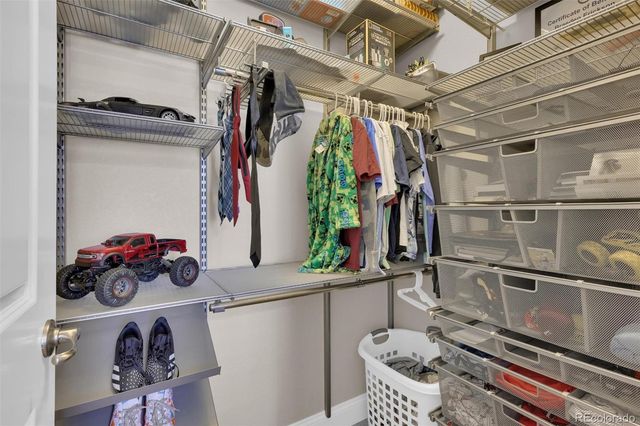 4423 Mcmurdo Court, Castle Rock, CO 80108