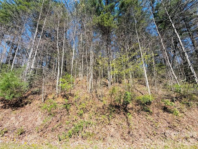 0000 Rock Creek Road, Zirconia, NC 28790