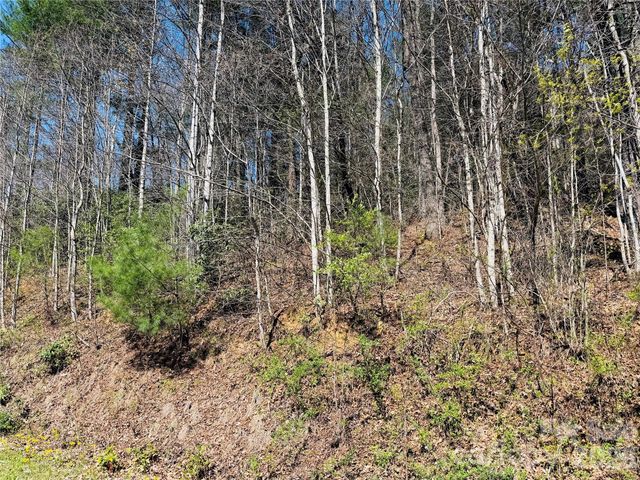 0000 Rock Creek Road, Zirconia, NC 28790
