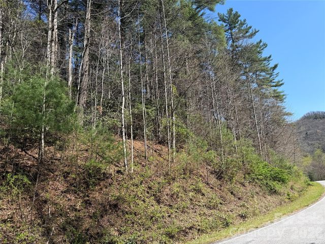 0000 Rock Creek Road, Zirconia, NC 28790