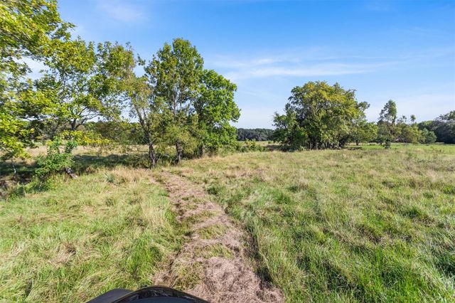 22.4 Acres Bailey Grove Road, Montgomery, TX 77356