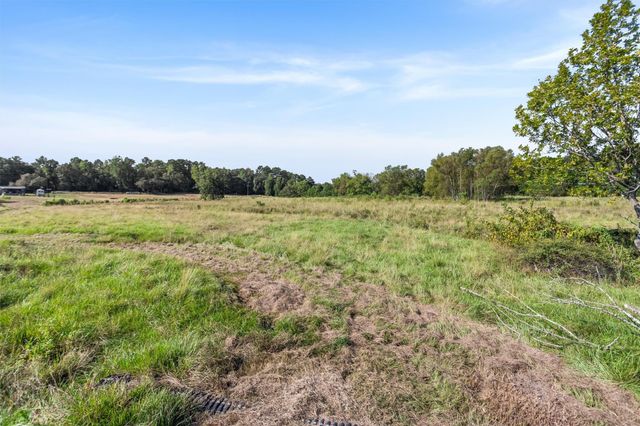22.4 Acres Bailey Grove Road, Montgomery, TX 77356