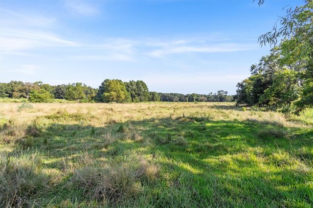 22.4 Acres Bailey Grove Road, Montgomery, TX 77356