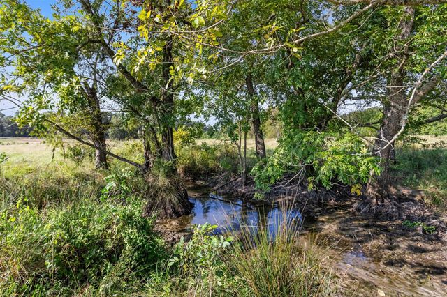 22.4 Acres Bailey Grove Road, Montgomery, TX 77356