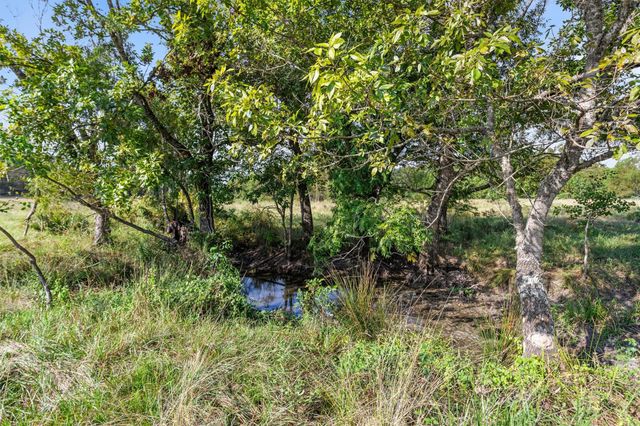 22.4 Acres Bailey Grove Road, Montgomery, TX 77356