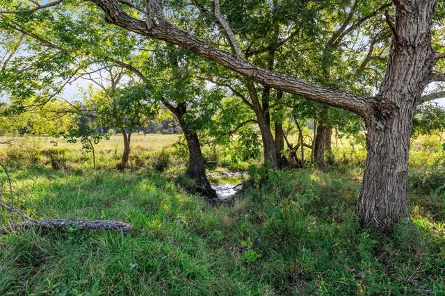 22.4 Acres Bailey Grove Road, Montgomery, TX 77356