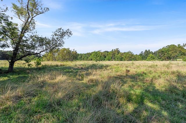22.4 Acres Bailey Grove Road, Montgomery, TX 77356