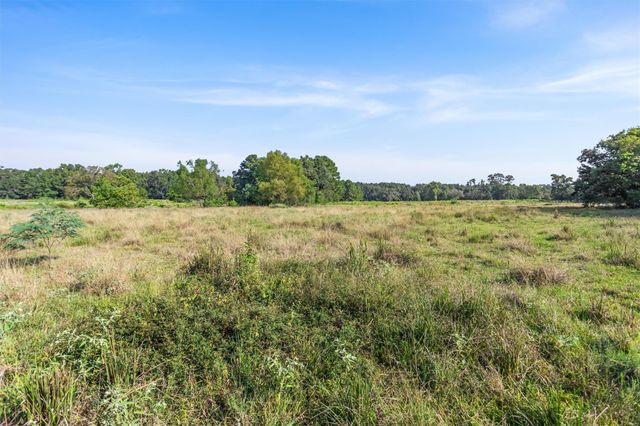 22.4 Acres Bailey Grove Road, Montgomery, TX 77356