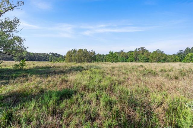 22.4 Acres Bailey Grove Road, Montgomery, TX 77356