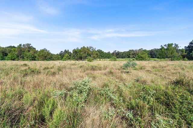 22.4 Acres Bailey Grove Road, Montgomery, TX 77356
