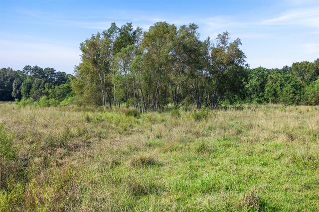 22.4 Acres Bailey Grove Road, Montgomery, TX 77356