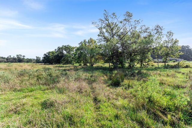 22.4 Acres Bailey Grove Road, Montgomery, TX 77356