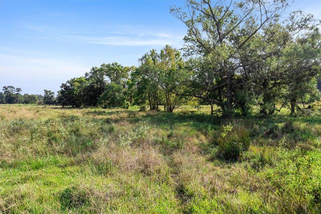 22.4 Acres Bailey Grove Road, Montgomery, TX 77356