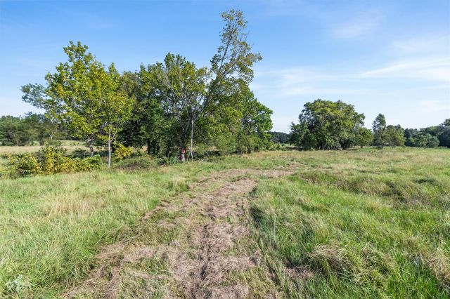 22.4 Acres Bailey Grove Road, Montgomery, TX 77356