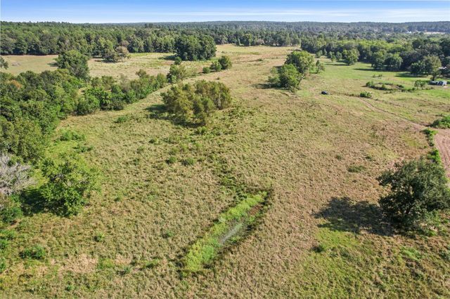 22.4 Acres Bailey Grove Road, Montgomery, TX 77356