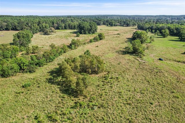 22.4 Acres Bailey Grove Road, Montgomery, TX 77356