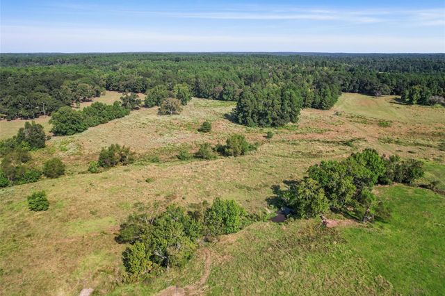 22.4 Acres Bailey Grove Road, Montgomery, TX 77356