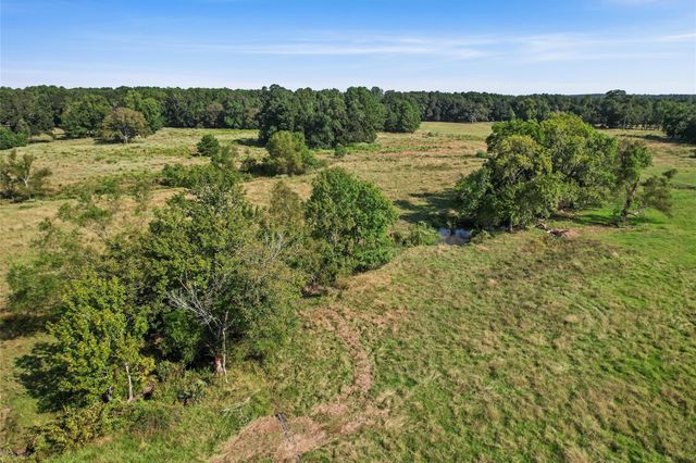 22.4 Acres Bailey Grove Road, Montgomery, TX 77356
