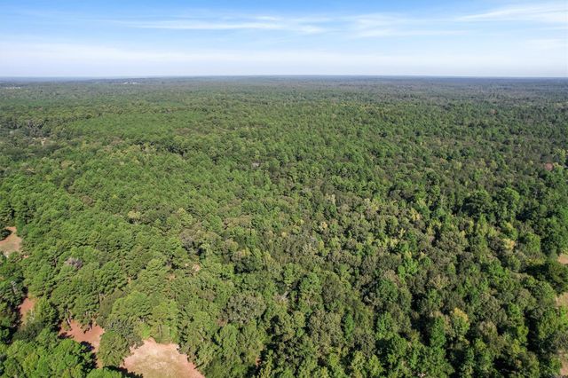 22.4 Acres Bailey Grove Road, Montgomery, TX 77356