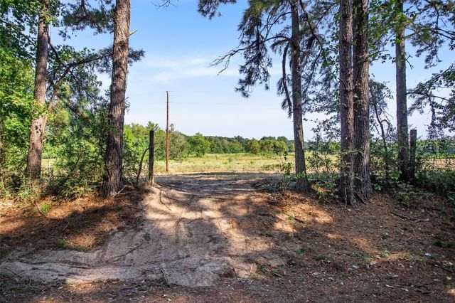 22.4 Acres Bailey Grove Road, Montgomery, TX 77356