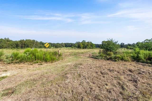 22.4 Acres Bailey Grove Road, Montgomery, TX 77356