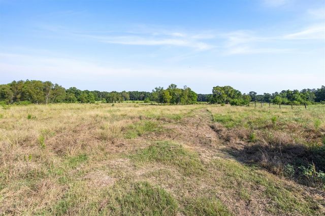 22.4 Acres Bailey Grove Road, Montgomery, TX 77356
