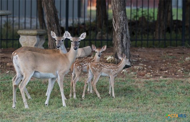 130 Sobrante Road 112, Belton, TX 76513