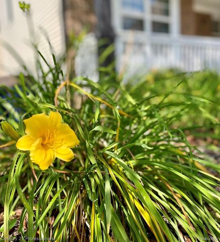 778 W Peninsula Court, Oxford Charter Township, MI 48371