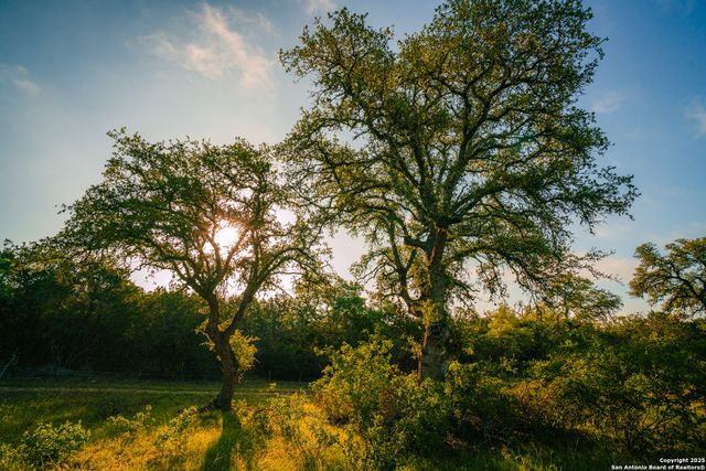 000 Rolling hill, Spring Branch, TX 78070