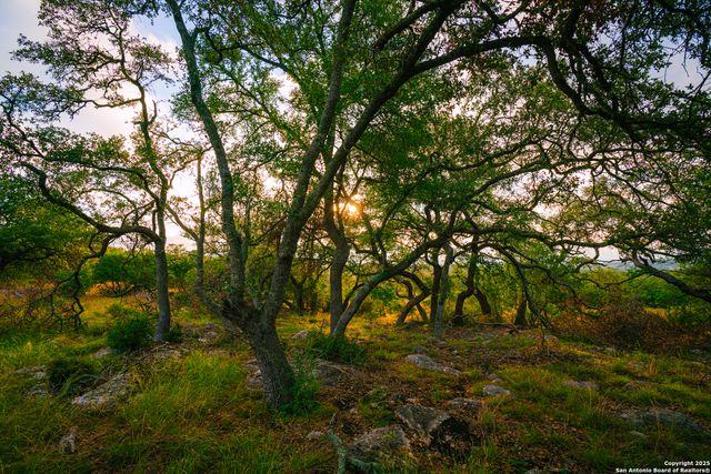 000 Rolling hill, Spring Branch, TX 78070