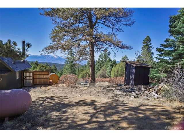 640 Ridgeway Dr, Cotopaxi, CO 81223