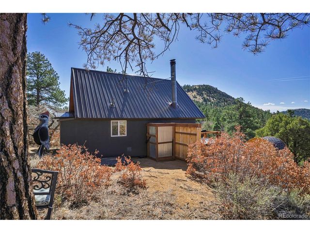 640 Ridgeway Dr, Cotopaxi, CO 81223