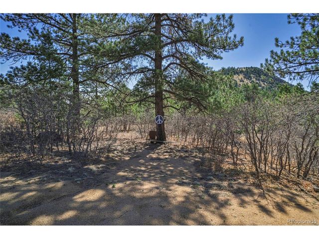 640 Ridgeway Dr, Cotopaxi, CO 81223