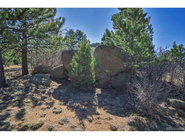 640 Ridgeway Dr, Cotopaxi, CO 81223