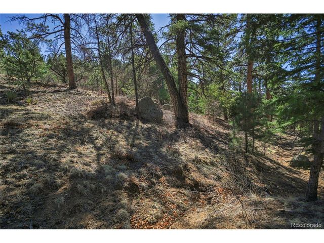 640 Ridgeway Dr, Cotopaxi, CO 81223