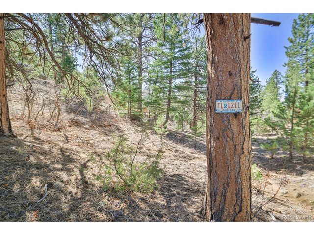 640 Ridgeway Dr, Cotopaxi, CO 81223