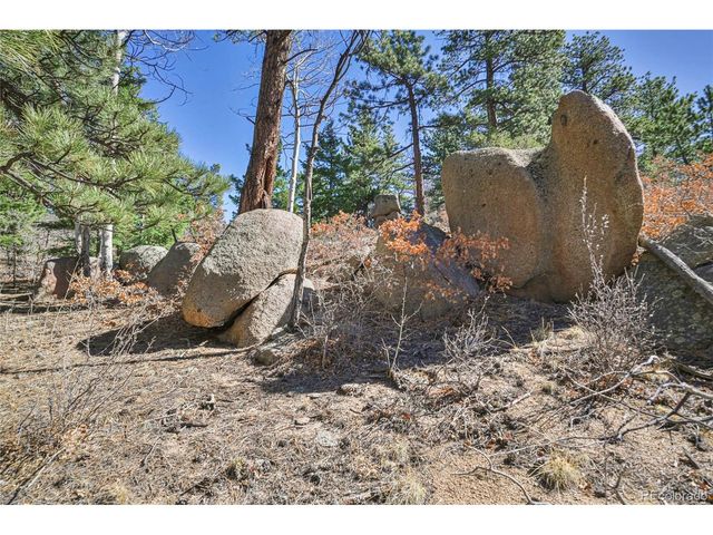 640 Ridgeway Dr, Cotopaxi, CO 81223
