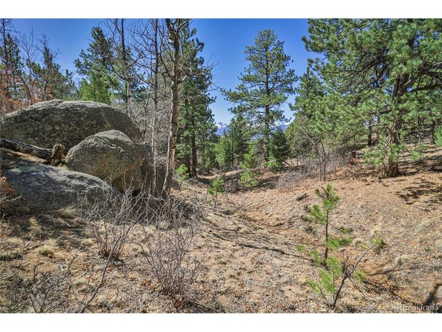 640 Ridgeway Dr, Cotopaxi, CO 81223