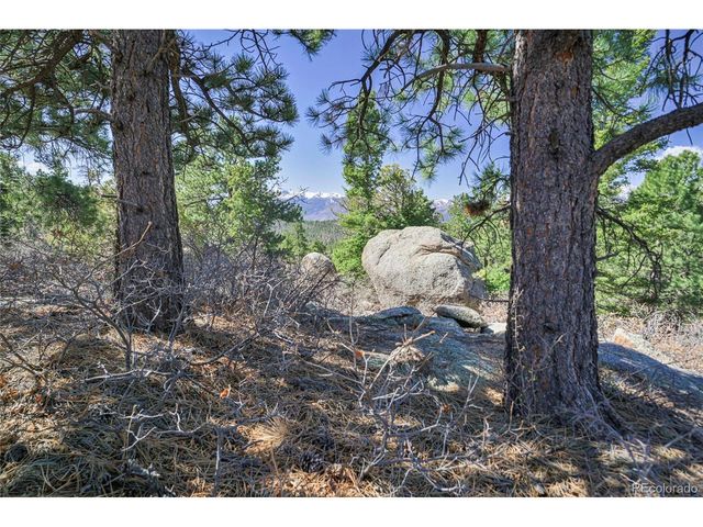 640 Ridgeway Dr, Cotopaxi, CO 81223