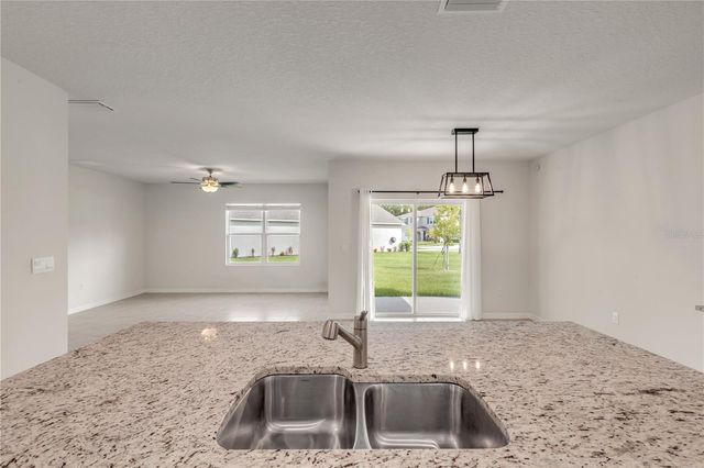 2250 LAKE PRESERVE CIRCLE, New Smyrna Beach, FL 32168