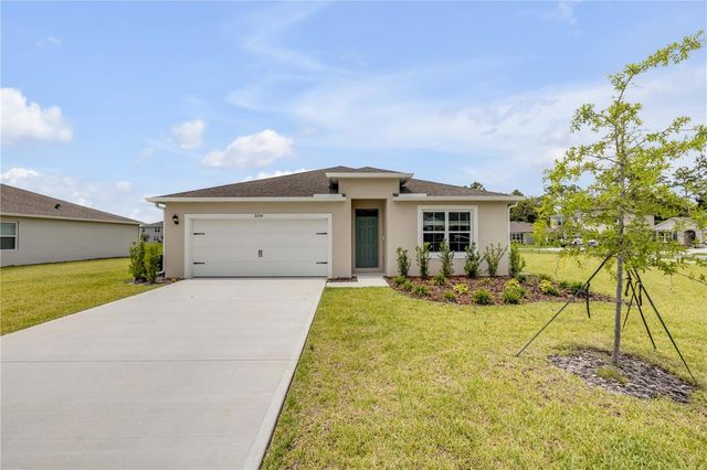 2250 LAKE PRESERVE CIRCLE, New Smyrna Beach, FL 32168