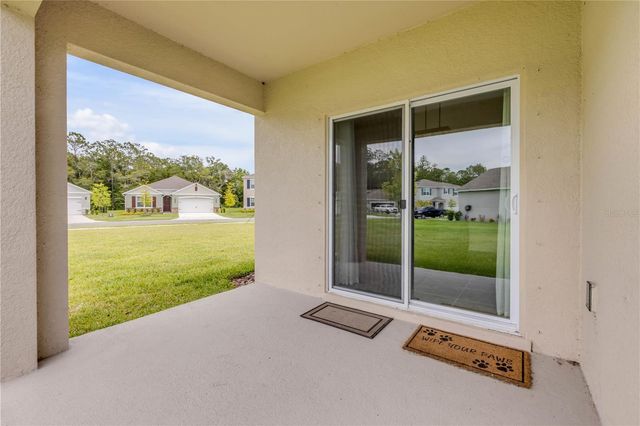 2250 LAKE PRESERVE CIRCLE, New Smyrna Beach, FL 32168