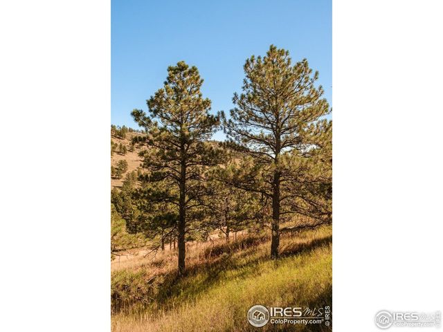 6365 Red Hill Rd, Boulder, CO 80302