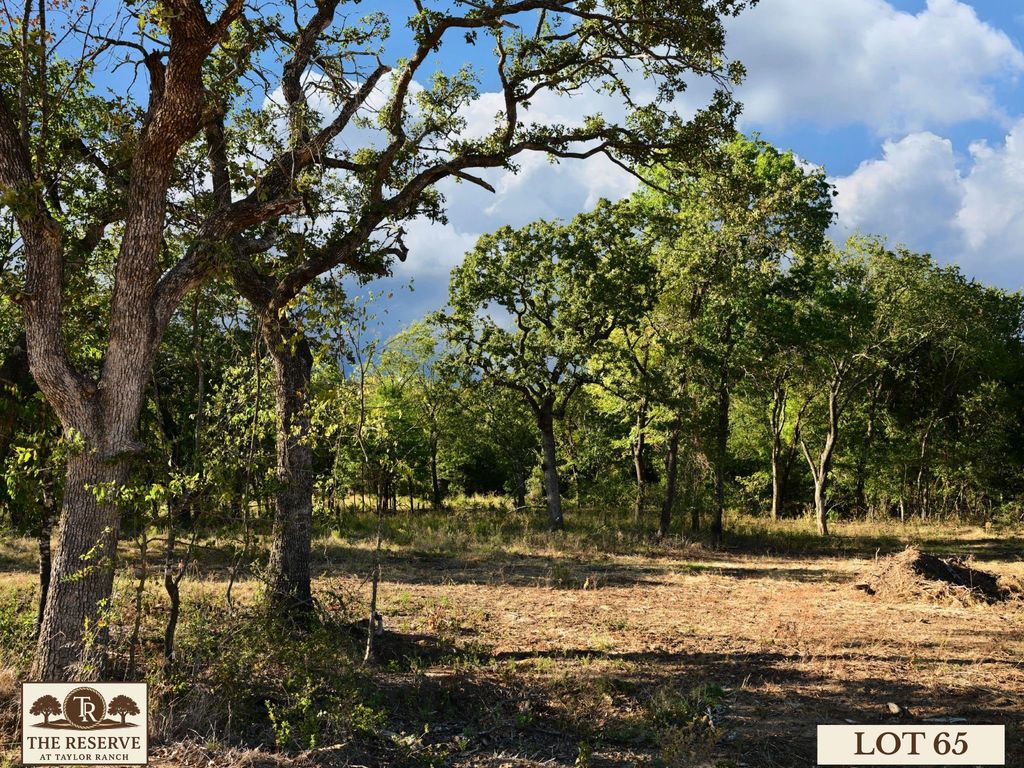 Lot 65 Camden Lane, Springtown, TX 76082