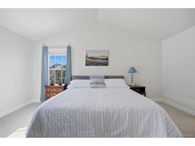 1229 Founders Cir, Windsor, CO 80550