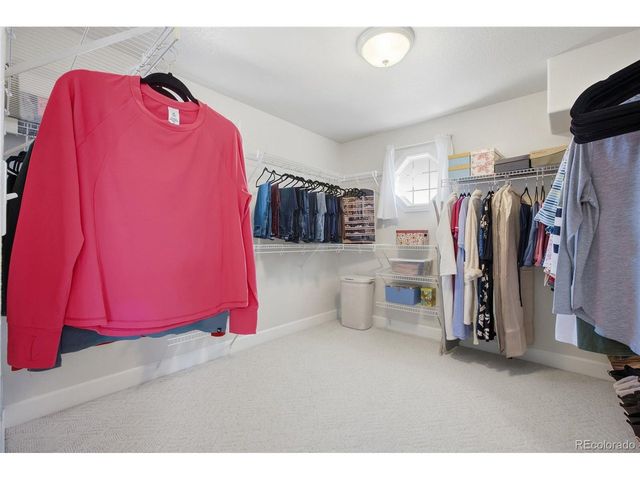 1229 Founders Cir, Windsor, CO 80550