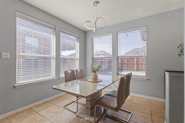 1729 Shoebill Drive, Little Elm, TX 75068