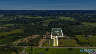 Lot 4 Hwy 40, Henagar, AL 35978