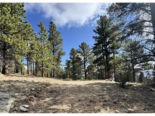 30317 Aspen Turn, Buena Vista, CO 81211